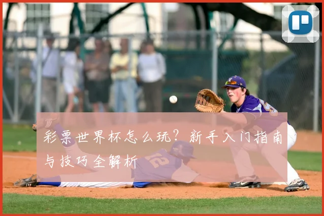 彩票世界杯怎么玩？新手入门指南与技巧全解析