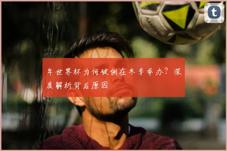 年世界杯为何破例在冬季举办?深度解析背后原因
