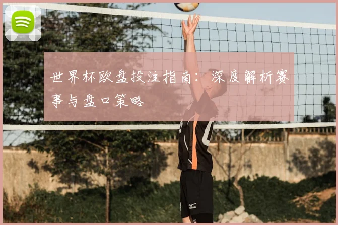 世界杯欧盘投注指南：深度解析赛事与盘口策略