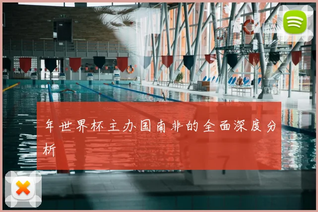 年世界杯主办国南非的全面深度分析