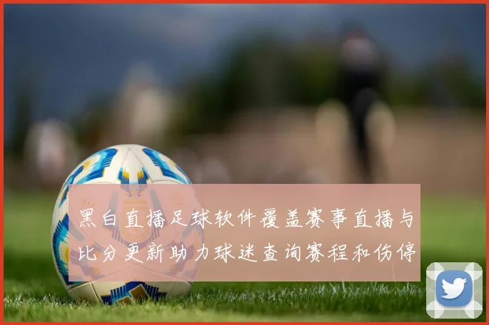 黑白直播足球软件覆盖赛事直播与比分更新助力球迷查询赛程和伤停动态