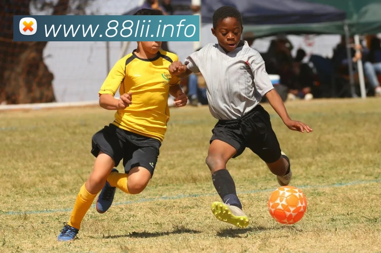 九游官网入口网页版下载安装平台生态图